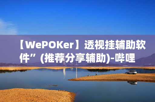 【WePOKer】透视挂辅助软件”(推荐分享辅助)-哔哩哔哩