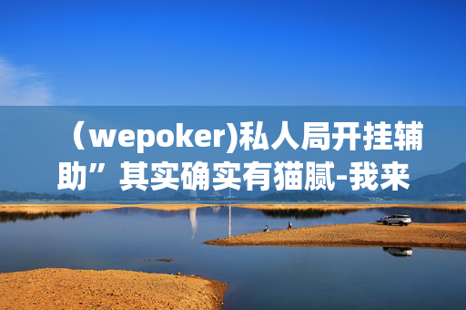 （wepoker)私人局开挂辅助”其实确实有猫腻-我来告诉大家