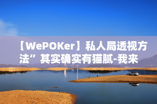 【WePOKer】私人局透视方法”其实确实有猫腻-我来告诉大家