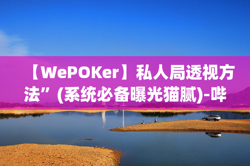 【WePOKer】私人局透视方法”(系统必备曝光猫腻)-哔哩哔哩