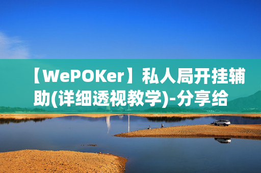 【WePOKer】私人局开挂辅助(详细透视教学)-分享给大家