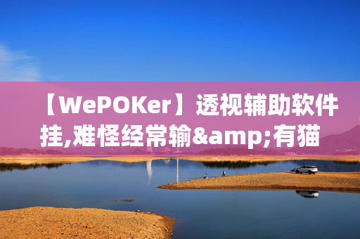 【WePOKer】透视辅助软件挂,难怪经常输&有猫腻(透视)