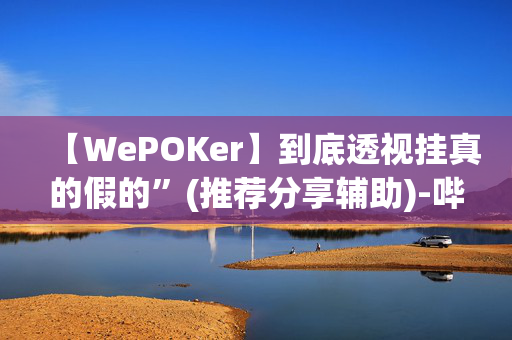 【WePOKer】到底透视挂真的假的”(推荐分享辅助)-哔哩哔哩