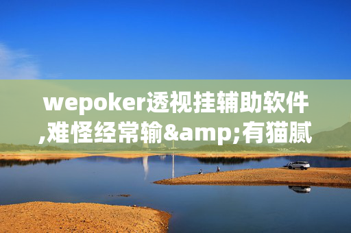 wepoker透视挂辅助软件,难怪经常输&有猫腻(透视)