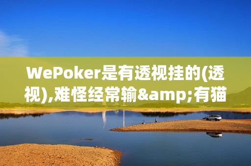 WePoker是有透视挂的(透视),难怪经常输&有猫腻开挂教程