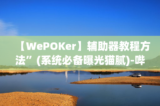 【WePOKer】辅助器教程方法”(系统必备曝光猫腻)-哔哩哔哩