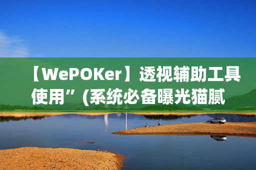 【WePOKer】透视辅助工具使用”(系统必备曝光猫腻)-哔哩哔哩-第1张图片-XJ外挂百科