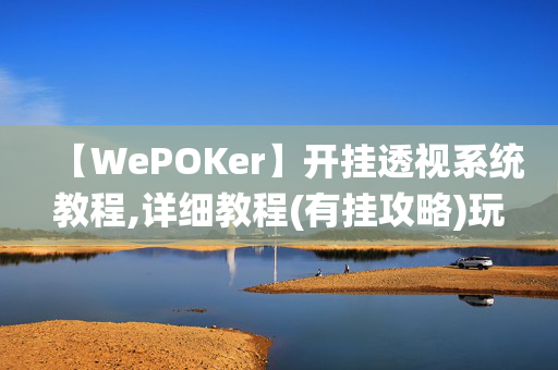 【WePOKer】开挂透视系统教程,详细教程(有挂攻略)玩家实测