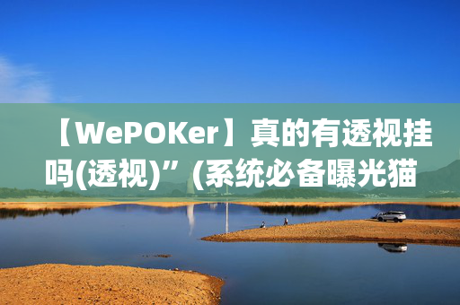 【WePOKer】真的有透视挂吗(透视)”(系统必备曝光猫腻)-哔哩哔哩