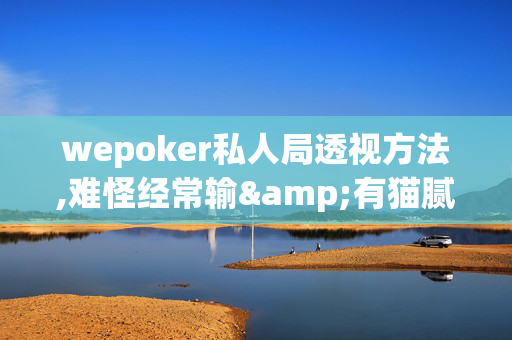 wepoker私人局透视方法,难怪经常输&有猫腻开挂教程