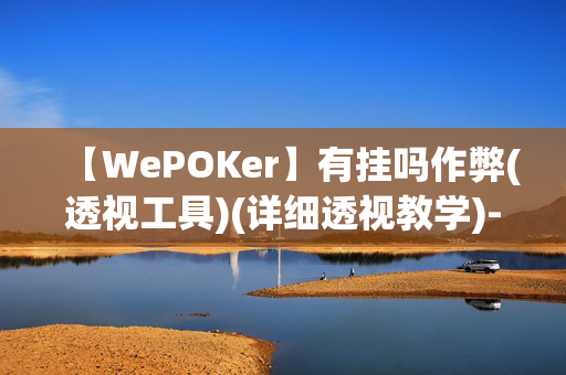 【WePOKer】有挂吗作弊(透视工具)(详细透视教学)-分享给大家