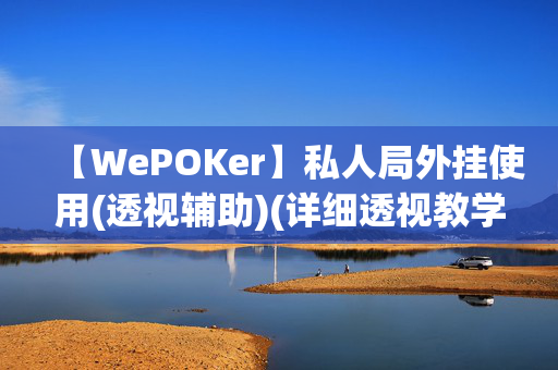 【WePOKer】私人局外挂使用(透视辅助)(详细透视教学)-分享给大家-第1张图片-XJ外挂百科