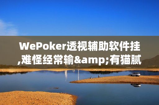 WePoker透视辅助软件挂,难怪经常输&有猫腻开挂教程-第1张图片-XJ外挂百科