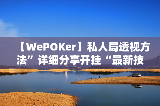 【WePOKer】私人局透视方法”详细分享开挂“最新技术