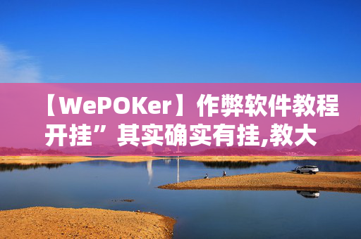 【WePOKer】作弊软件教程开挂”其实确实有挂,教大家使用-第1张图片-XJ外挂百科