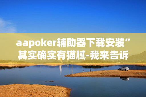 aapoker辅助器下载安装”其实确实有猫腻-我来告诉大家-第1张图片-XJ外挂百科