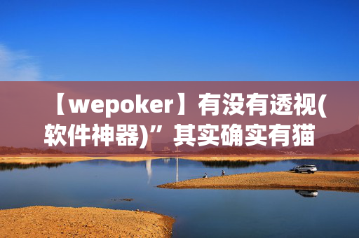 【wepoker】有没有透视(软件神器)”其实确实有猫腻-我来告诉大家-第1张图片-XJ外挂百科