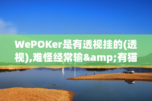 WePOKer是有透视挂的(透视),难怪经常输&有猫腻开挂教程-哔哩哔哩-第1张图片-XJ外挂百科