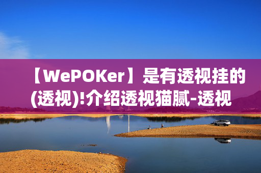 【WePOKer】是有透视挂的(透视)!介绍透视猫腻-透视软件版-第1张图片-XJ外挂百科