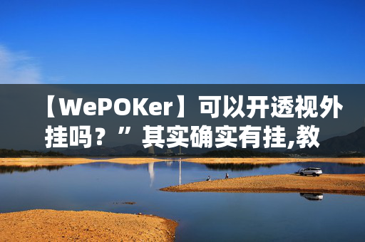 【WePOKer】可以开透视外挂吗？”其实确实有挂,教大家使用