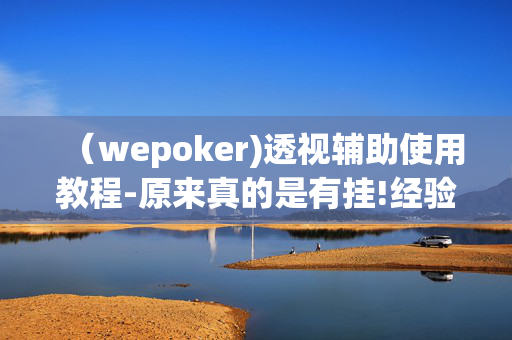 （wepoker)透视辅助使用教程-原来真的是有挂!经验分享!