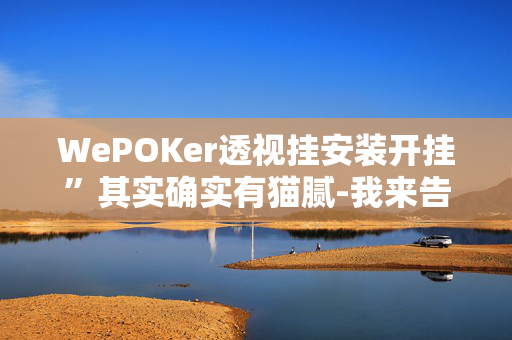 WePOKer透视挂安装开挂”其实确实有猫腻-我来告诉大家