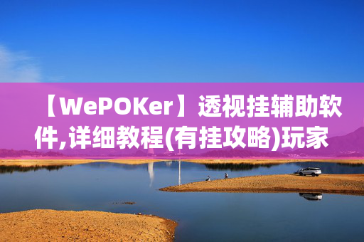 【WePOKer】透视挂辅助软件,详细教程(有挂攻略)玩家实测