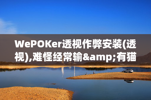 WePOKer透视作弊安装(透视),难怪经常输&有猫腻开挂教程-哔哩哔哩