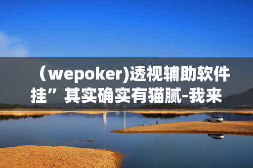 （wepoker)透视辅助软件挂”其实确实有猫腻-我来告诉大家