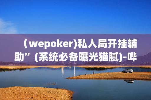 （wepoker)私人局开挂辅助”(系统必备曝光猫腻)-哔哩哔哩