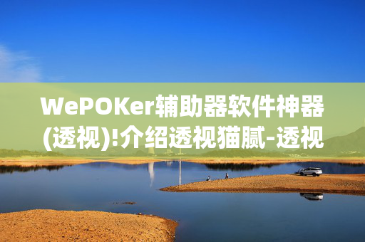 WePOKer辅助器软件神器(透视)!介绍透视猫腻-透视软件版