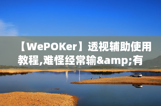 【WePOKer】透视辅助使用教程,难怪经常输&有猫腻开挂教程-哔哩哔哩