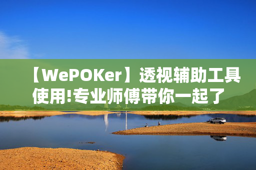 【WePOKer】透视辅助工具使用!专业师傅带你一起了解开挂-哔哩哔哩