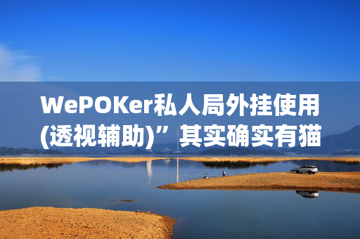 WePOKer私人局外挂使用(透视辅助)”其实确实有猫腻-我来告诉大家