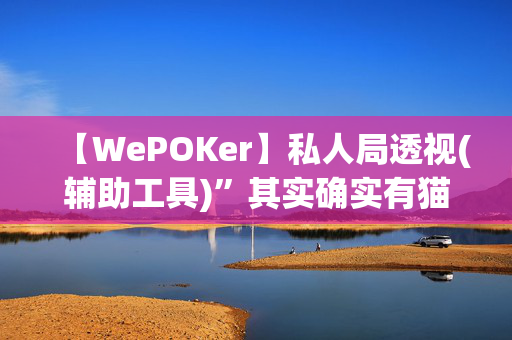 【WePOKer】私人局透视(辅助工具)”其实确实有猫腻-我来告诉大家