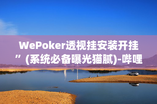 WePoker透视挂安装开挂”(系统必备曝光猫腻)-哔哩哔哩