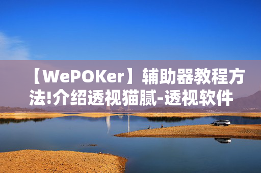 【WePOKer】辅助器教程方法!介绍透视猫腻-透视软件版