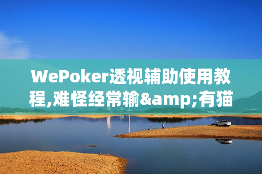 WePoker透视辅助使用教程,难怪经常输&有猫腻开挂教程-哔哩哔哩