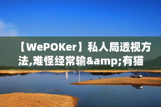 【WePOKer】私人局透视方法,难怪经常输&有猫腻开挂教程-哔哩哔哩