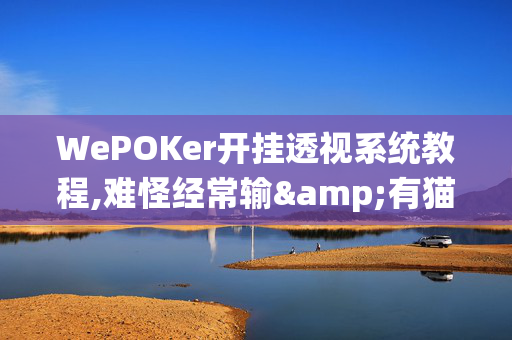 WePOKer开挂透视系统教程,难怪经常输&有猫腻开挂教程