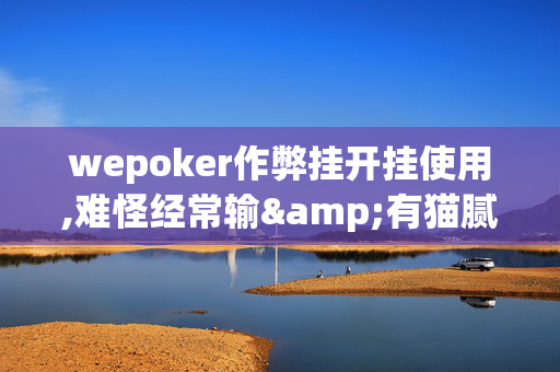 wepoker作弊挂开挂使用,难怪经常输&有猫腻(透视)