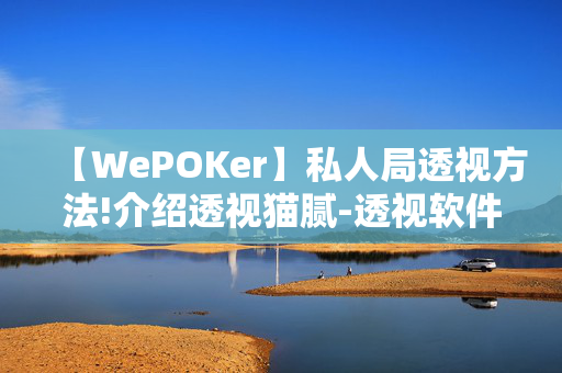 【WePOKer】私人局透视方法!介绍透视猫腻-透视软件版