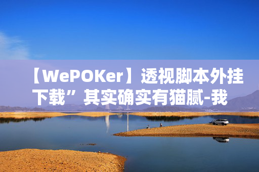 【WePOKer】透视脚本外挂下载”其实确实有猫腻-我来告诉大家