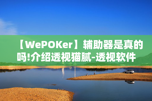 【WePOKer】辅助器是真的吗!介绍透视猫腻-透视软件版