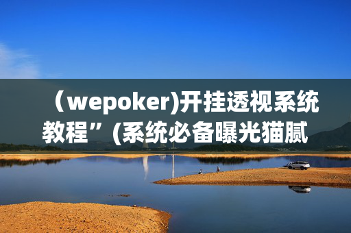 （wepoker)开挂透视系统教程”(系统必备曝光猫腻)-哔哩哔哩-第1张图片-XJ外挂百科