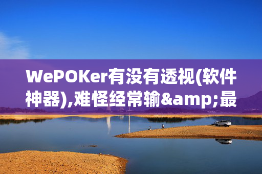 WePOKer有没有透视(软件神器),难怪经常输&最新成果必看