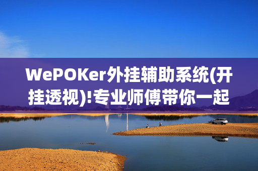 WePOKer外挂辅助系统(开挂透视)!专业师傅带你一起了解开挂-哔哩哔哩