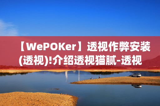 【WePOKer】透视作弊安装(透视)!介绍透视猫腻-透视软件版