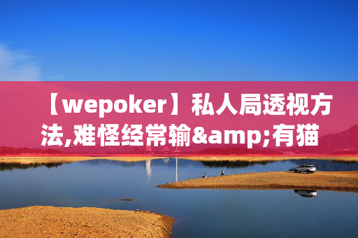 【wepoker】私人局透视方法,难怪经常输&有猫腻开挂教程-第1张图片-XJ外挂百科