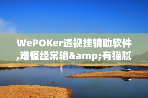 WePOKer透视挂辅助软件,难怪经常输&有猫腻开挂教程